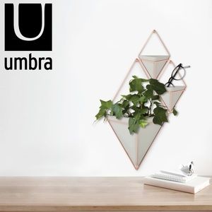 Umbra Trigg Wall Vessel Modern Wall Planter